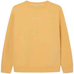 Kleidung Jungen Sweatshirts Pepe jeans  Gelb