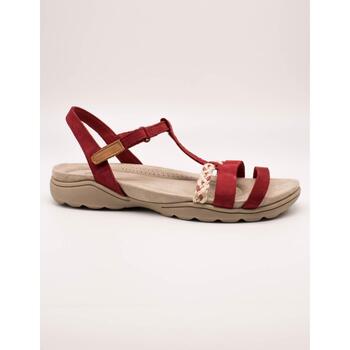 Schuhe Damen Sandalen / Sandaletten Clarks  Rot