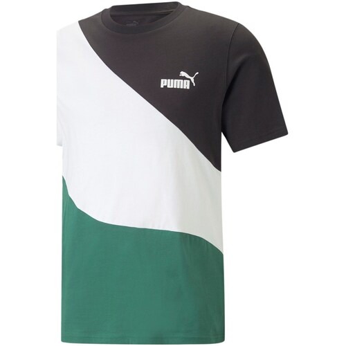 Kleidung Herren T-Shirts Puma 673380 Weiss
