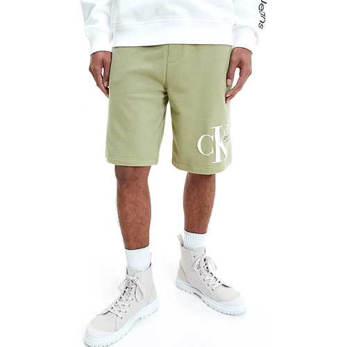 Kleidung Herren Shorts / Bermudas Calvin Klein Jeans J30J320067-L9F Grün