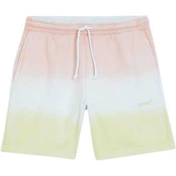 Kleidung Herren Shorts / Bermudas Levi's A1062-0008 Multicolor
