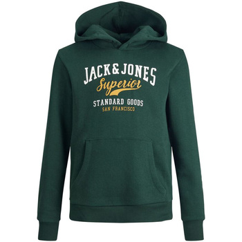 Kleidung Kinder Sweatshirts Jack & Jones 12212287 Grün