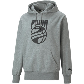 Kleidung Herren Sweatshirts Puma 536337-02 Grau