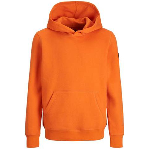 Kleidung Kinder Sweatshirts Jack & Jones 12216964 Orange