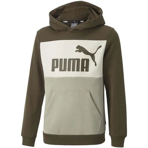 Kleidung Kinder Sweatshirts Puma 849081-62 Grün