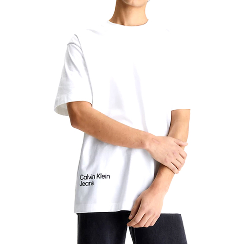 Kleidung Herren T-Shirts Calvin Klein Jeans J30J322881-YAF Weiss