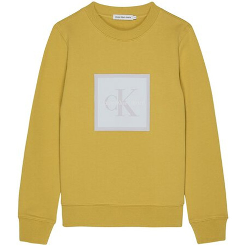 Kleidung Kinder Sweatshirts Calvin Klein Jeans IB0IB01571-ZAJ Gelb