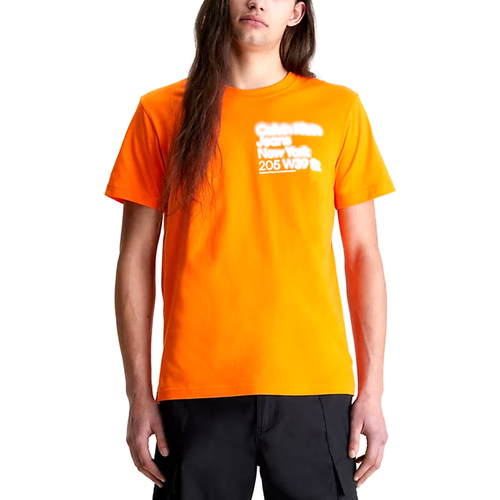 Kleidung Herren T-Shirts Calvin Klein Jeans J30J322870-SCB Orange
