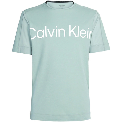 Kleidung Herren T-Shirts Calvin Klein Jeans 00GMS3K102-LFW Grün
