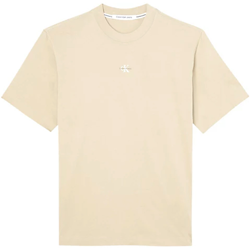 Kleidung Herren T-Shirts Calvin Klein Jeans J30J322507-PF2 Beige