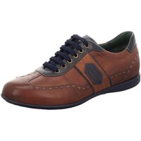 Schuhe Herren Derby-Schuhe & Richelieu Galizio Torresi Schnuerschuhe 313710-V19092 Braun