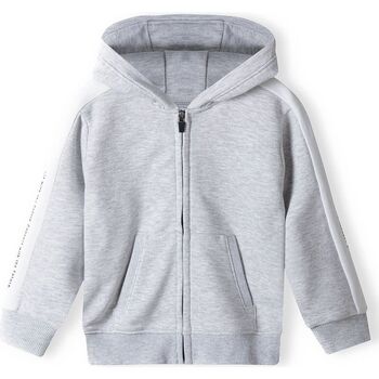 Kleidung Jungen Sweatshirts Minoti Hoodie mit Zipper für Jungen (12m-14y) Grau