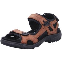 Schuhe Herren Wanderschuhe Ecco Offene Offroad Plus Sandale sierra 822184 82218402671 Braun