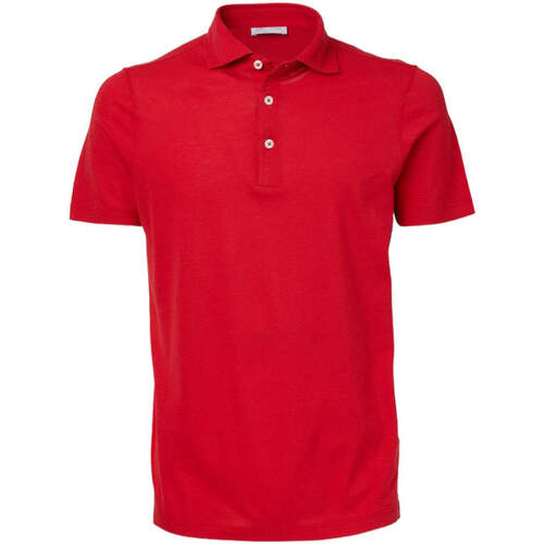Kleidung Herren T-Shirts & Poloshirts Gran Sasso  Rot