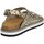 Schuhe Damen Sandalen / Sandaletten Lumberjack SWG6006-001 Multicolor