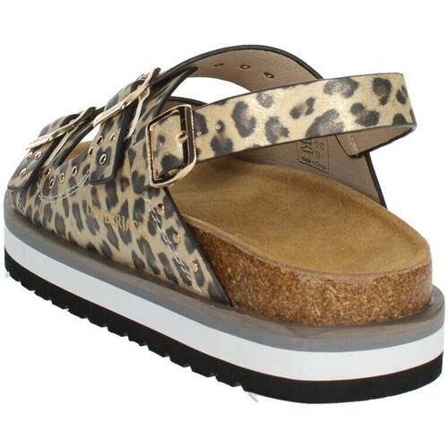 Lumberjack SWG6006-001 Multicolor