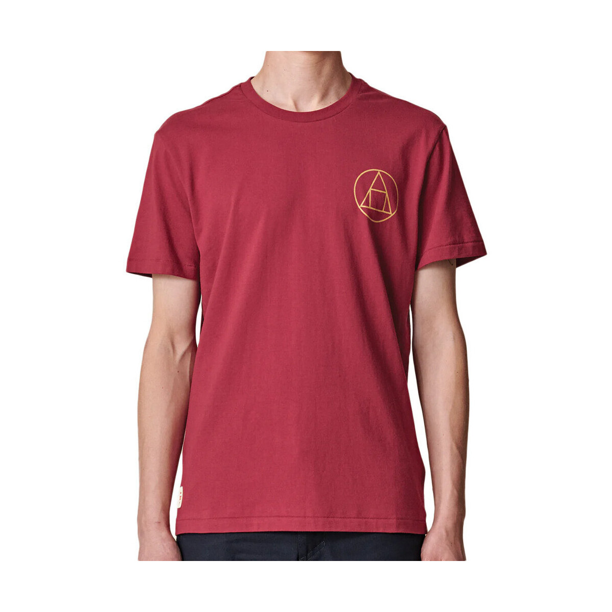 Kleidung Herren T-Shirts & Poloshirts Globe GB02130005 Rot