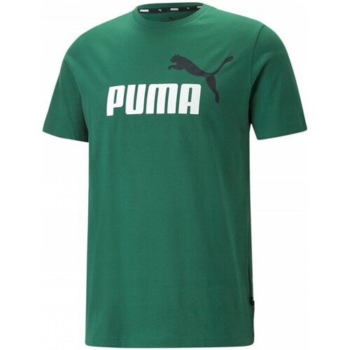 Kleidung Herren T-Shirts Puma Ess 2 Col Logo Tee Grün