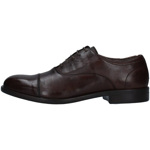 Schuhe Herren Derby-Schuhe Paul Kelly 1236 Braun