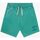Kleidung Herren Shorts / Bermudas Franklin & Marshall JM4035.2014G46-108 Grün