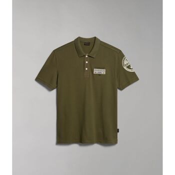 Kleidung Herren T-Shirts & Poloshirts Napapijri E-AMUNDSEN NP0A4H6A-GAE1 GREEN LICHEN Grün