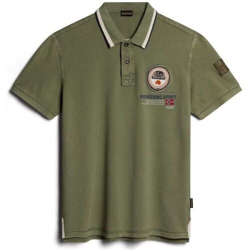 Kleidung Herren T-Shirts & Poloshirts Napapijri GANDY 4 - NP0A4H8R-GAE1 GREEN LICHEN Grün