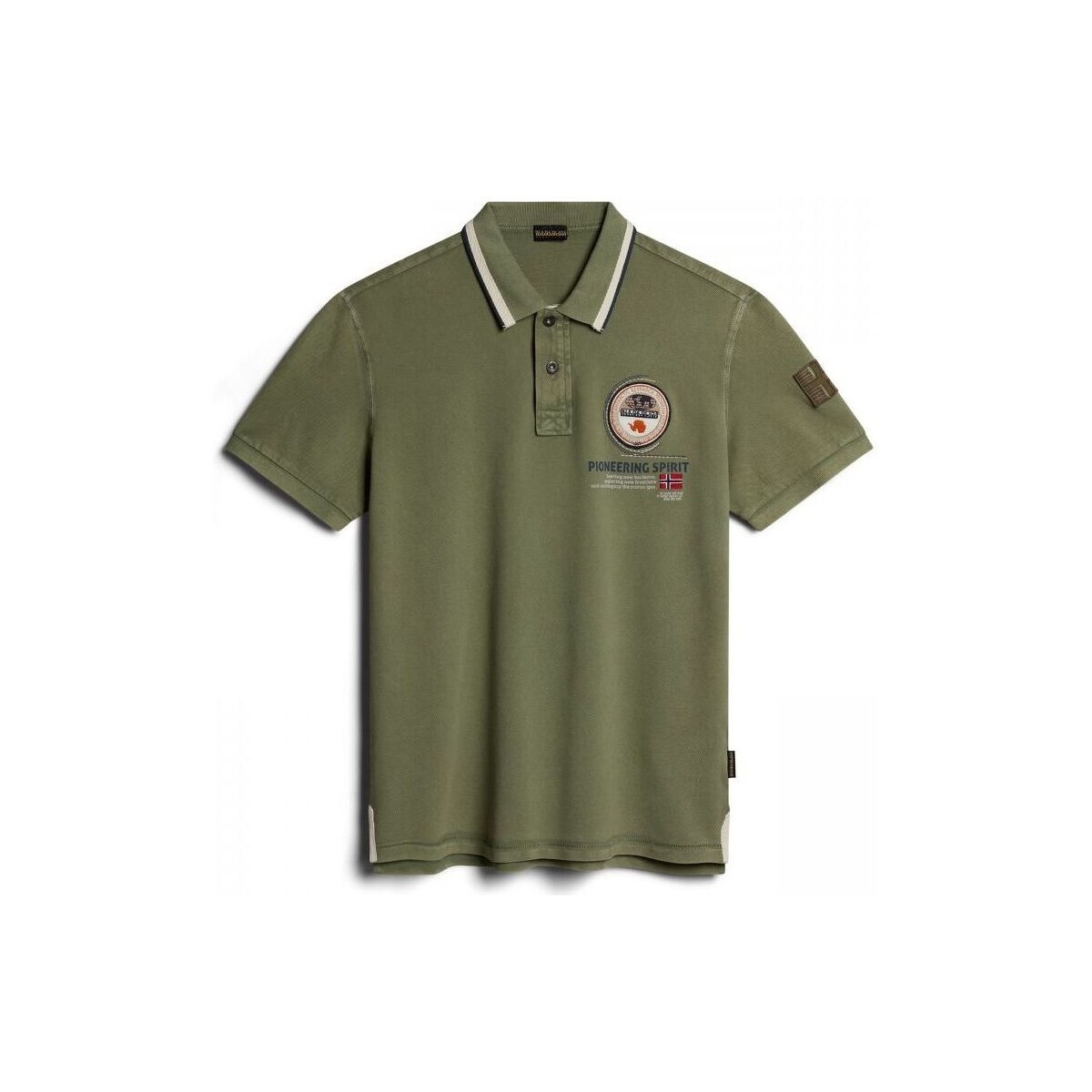 Kleidung Herren T-Shirts & Poloshirts Napapijri GANDY 4 - NP0A4H8R-GAE1 GREEN LICHEN Grün