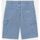 Kleidung Herren Shorts / Bermudas Dickies GARYVILLE DNM SHORT - DK0A4XCK-C151 - VNTG BLUE Blau