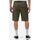 Kleidung Herren Shorts / Bermudas Dickies MILLERVILLE SHORT - DK0A4XED-MGR1 - MILITARY GREEN Grau