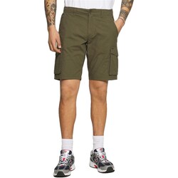 Kleidung Herren Shorts / Bermudas Only & Sons  22025602 Grün