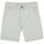 Kleidung Jungen Shorts / Bermudas Scalpers  Grün