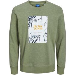 Kleidung Jungen Sweatshirts Jack & Jones  Grün