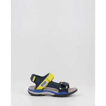 Schuhe Jungen Sandalen / Sandaletten Geox J BOREALIS BOY A J150RA Blau