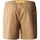 Kleidung Herren Shorts / Bermudas The North Face Class V Ripstop Shorts - Utility Brown Beige