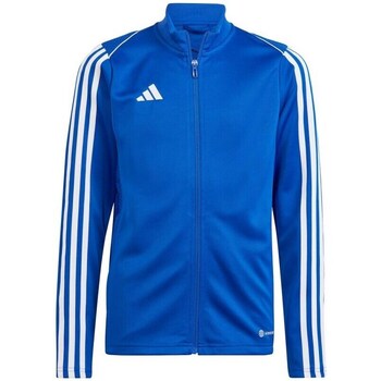Kleidung Jungen Sweatshirts adidas Originals Tiro 23 League Training JR Blau