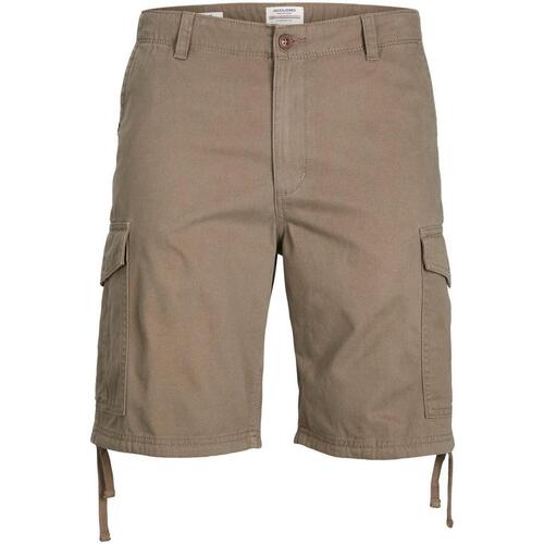Kleidung Herren Shorts / Bermudas Jack & Jones  Braun