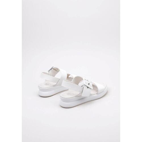 Dorking SLAM D9088 Weiss