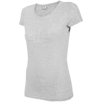 Kleidung Damen T-Shirts 4F TSD353 Grau