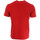 Kleidung Herren T-Shirts & Poloshirts Hungaria 718890-60 Rot