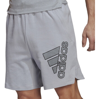 Kleidung Herren Shorts / Bermudas adidas Originals HB9190 Grau