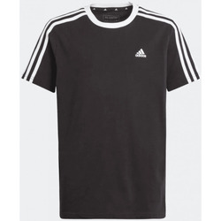 Kleidung Jungen T-Shirts adidas Originals  Schwarz