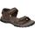 Schuhe Herren Sandalen / Sandaletten J´hayber ZA53416-500 Braun