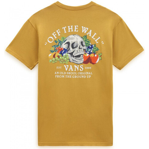 Kleidung Herren T-Shirts & Poloshirts Vans Ground up ss tee Orange