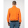 Kleidung Herren Jacken Geox M2520D T2473 Orange