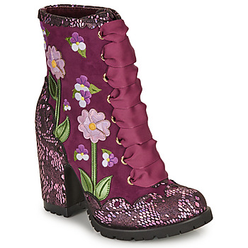 Schuhe Damen Low Boots Irregular Choice VIBRANT VIOLET Violett