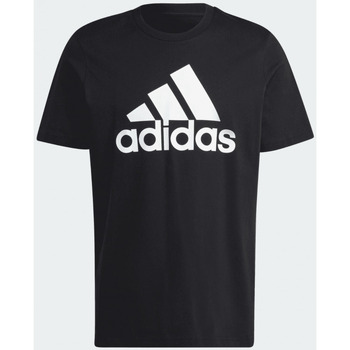 Kleidung Herren T-Shirts adidas Originals  Schwarz