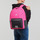 Taschen Damen Rucksäcke Adidas Sportswear CLSC BOS 3S BP Rosa / Grau / Weiss