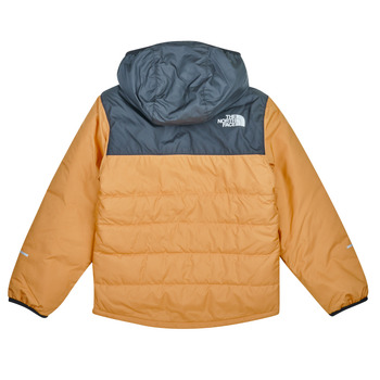 The North Face Boys Never Stop Synthetic Jacket Braun