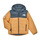 Kleidung Jungen Jacken The North Face Boys Never Stop Synthetic Jacket Braun