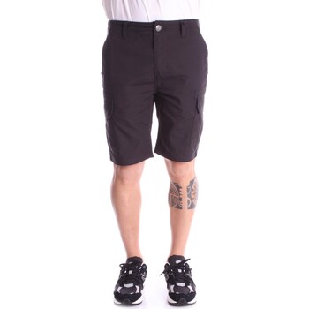 Kleidung Herren Shorts / Bermudas Dickies DK0A4XED Schwarz